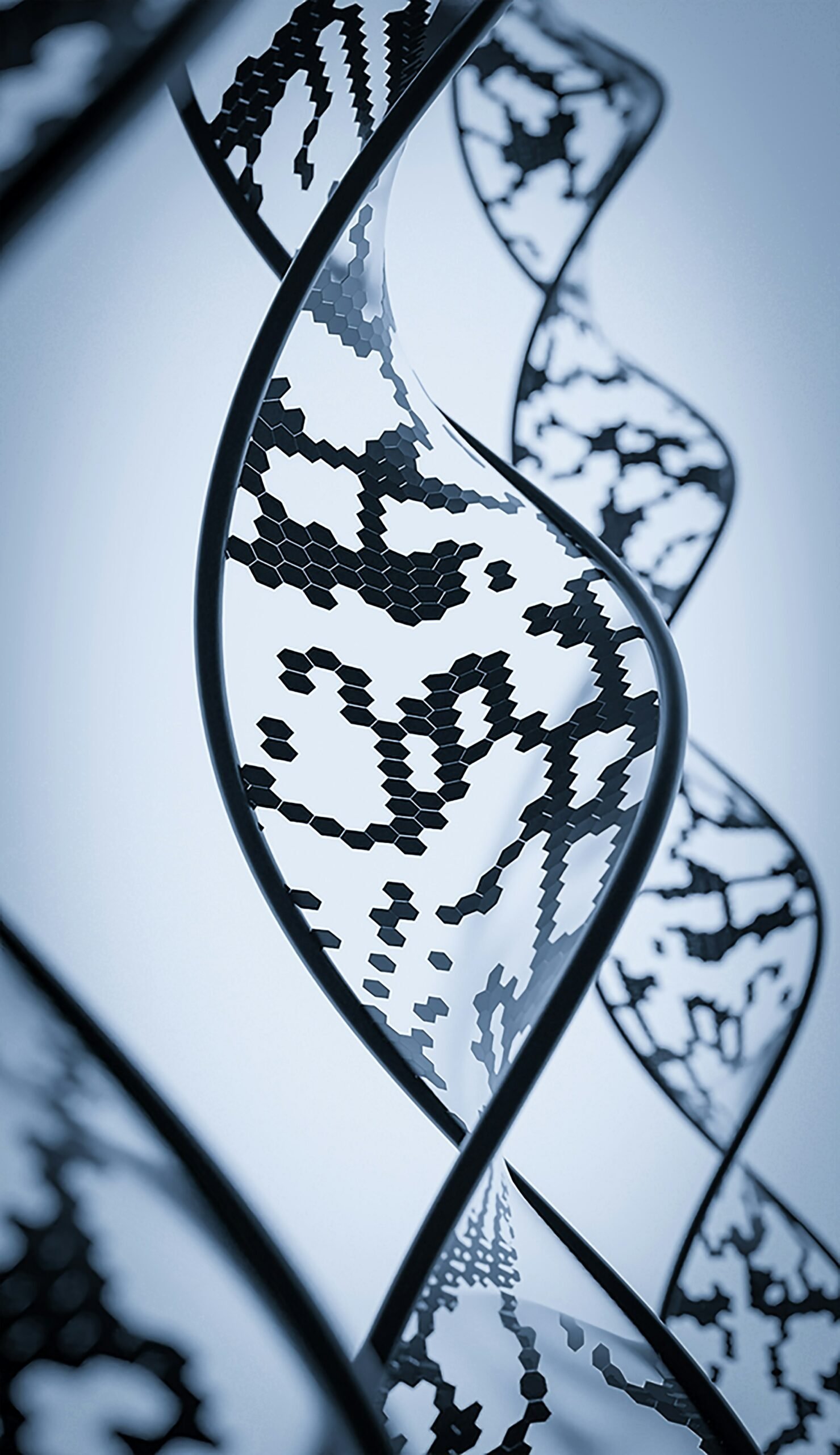 Curved structure with black hexagonal pattern representing DNA