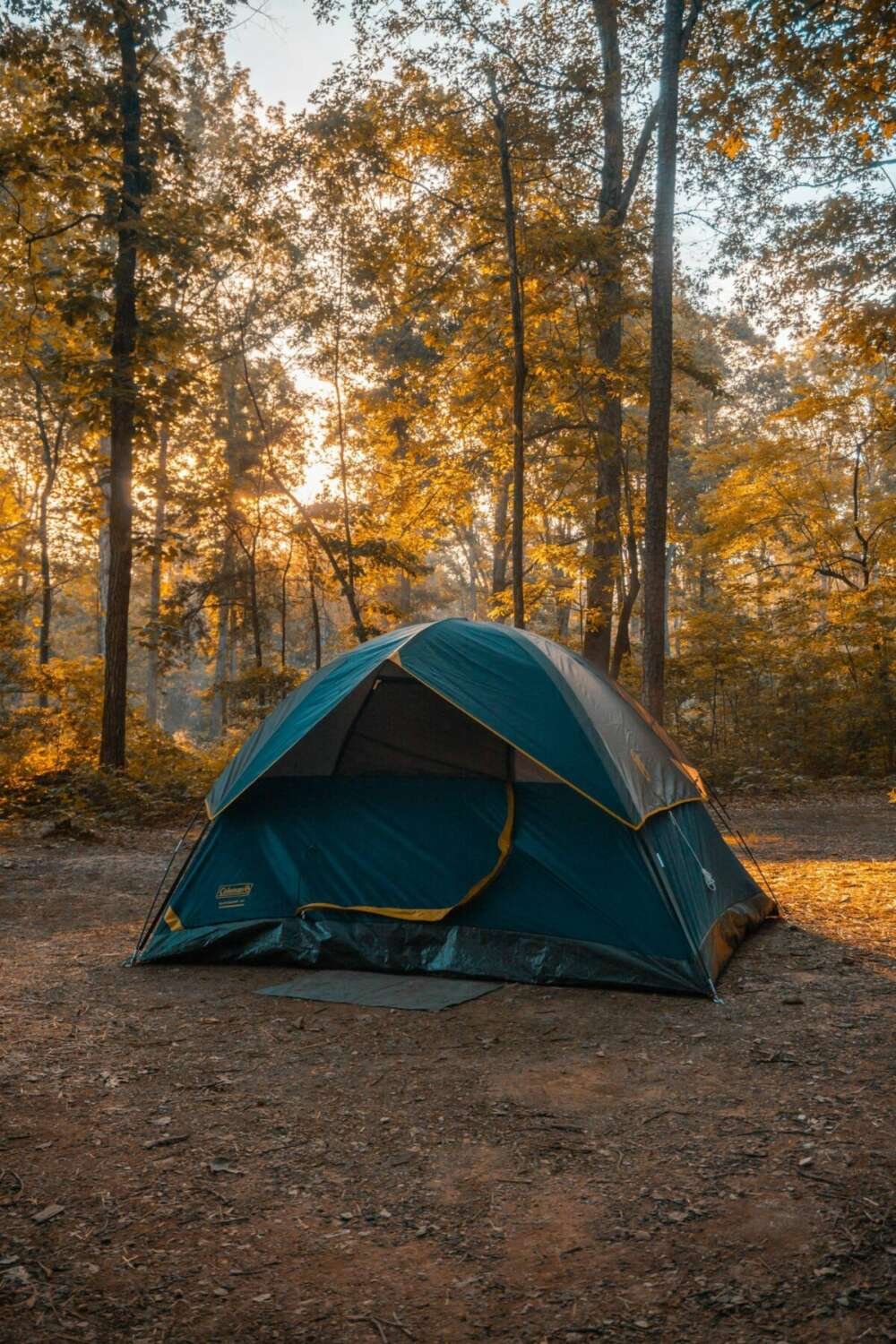 Blue and orange dome tent in a forest during daytime