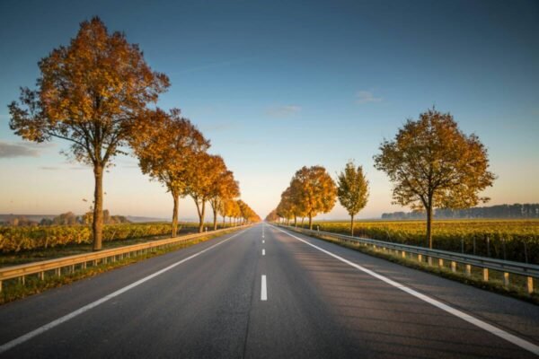 Long straight road lined with trees in Germany